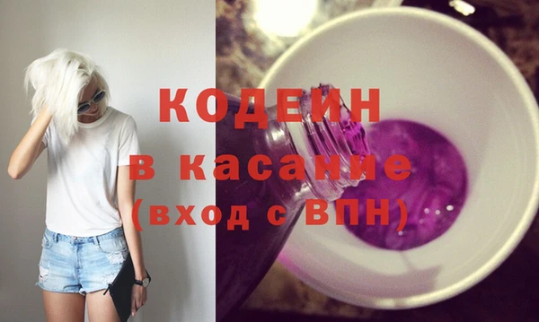 хмурый Аркадак