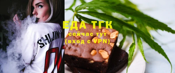 хмурый Аркадак