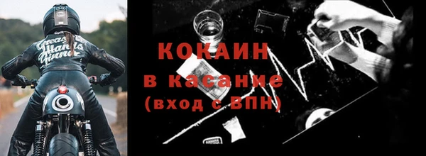 индика Арсеньев
