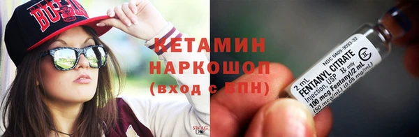 хмурый Аркадак