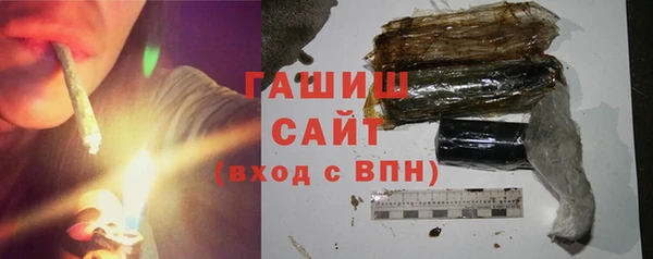индика Арсеньев