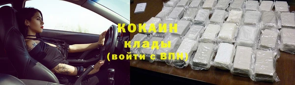 хмурый Аркадак