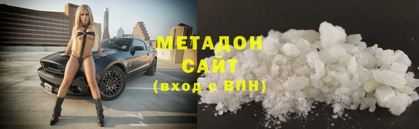 хмурый Аркадак