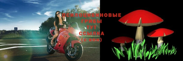 прущая мука Армянск