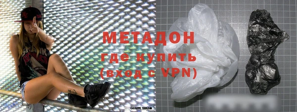 индика Арсеньев