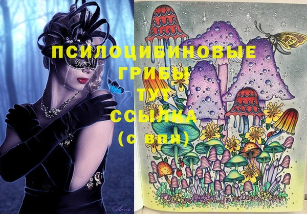 хмурый Аркадак
