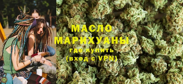 хмурый Аркадак