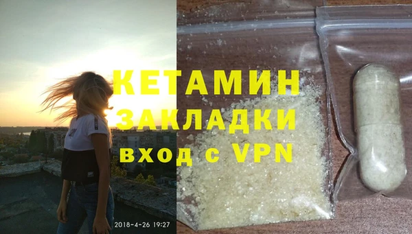 хмурый Аркадак