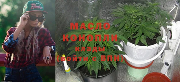 хмурый Аркадак