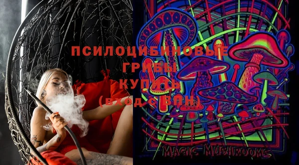 прущая мука Армянск