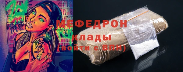 хмурый Аркадак