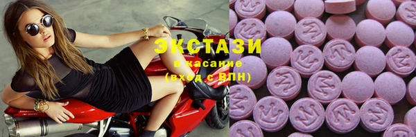 индика Арсеньев