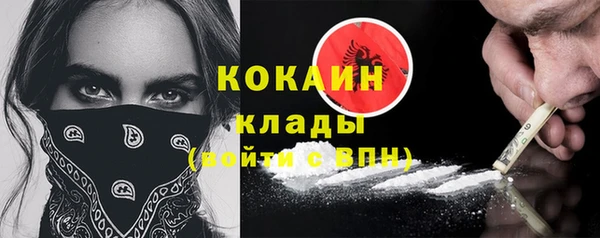 хмурый Аркадак